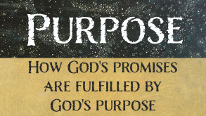 Series artwork for Purpose